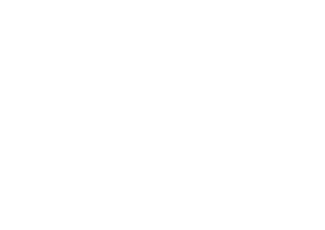 Althera Patrimoine - Logo blanc