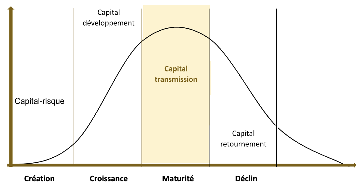 Graphique capital transmission - Conseil en gestion de patrimoine | Althera Patrimoine